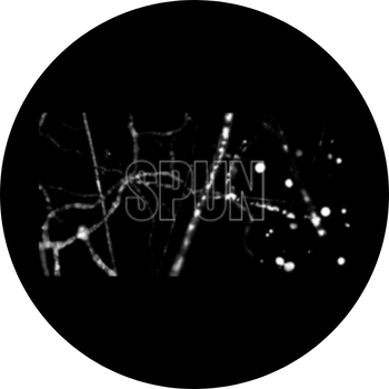 Society for the Protection of Underground Networks